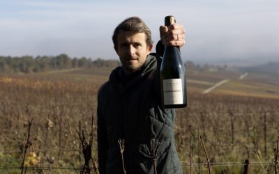 Pourquoi acheter du champagne de vigneron ? Dépassent-ils les grandes marques de champagne ?