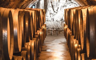 La méthode solera en champagne : tout savoir sur cette technique d’élevage des vins